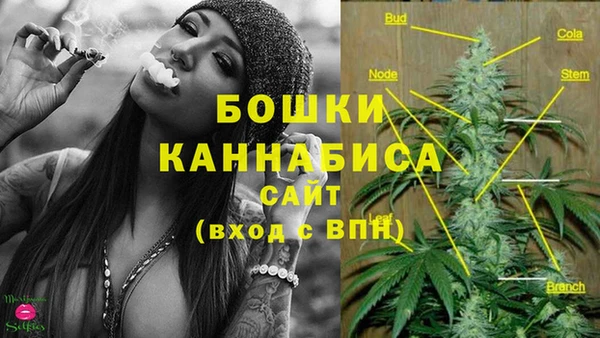 эйфоретик Вязьма